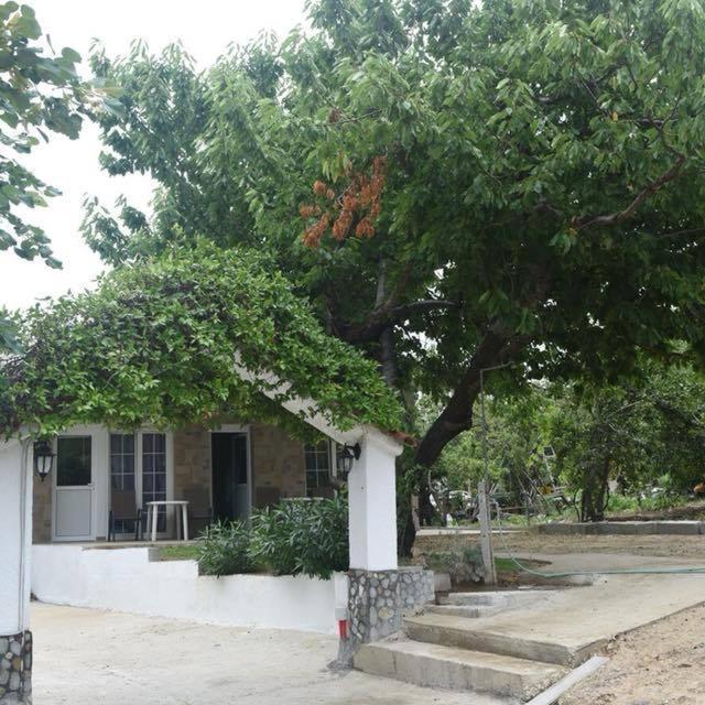 Villa Leonidas Koutsoupia Kokkino Nero Exterior photo